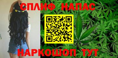 индика Аргун