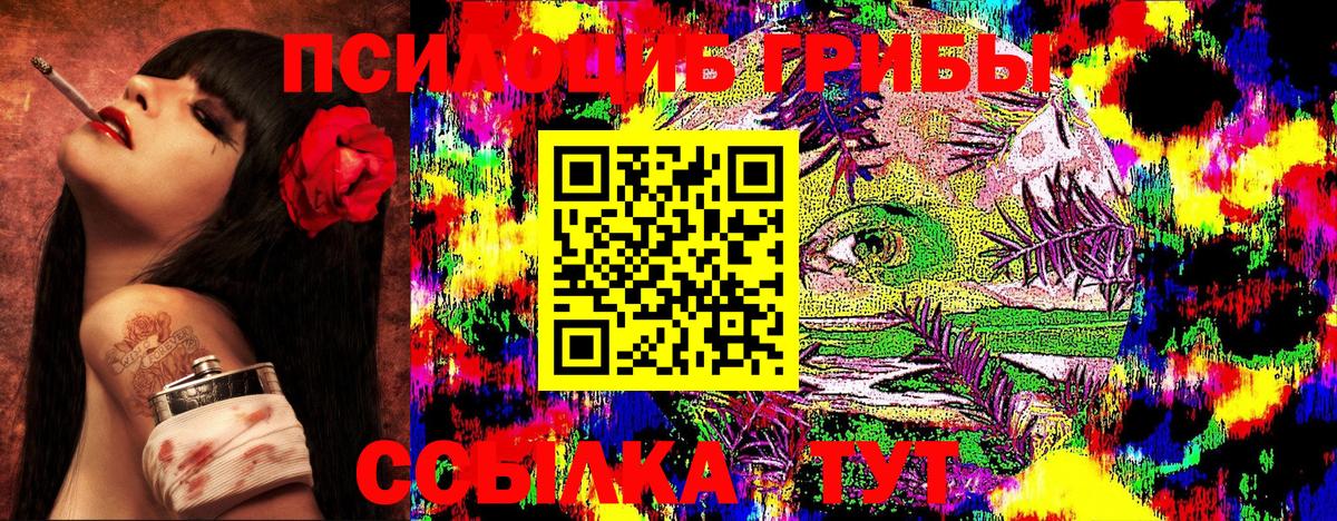 Псилоцибиновые грибы Psilocybe Владимир